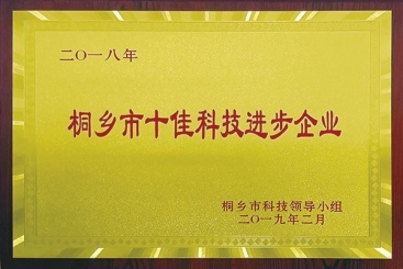 巨石集团荣获2018年桐乡市十佳科技进步企业